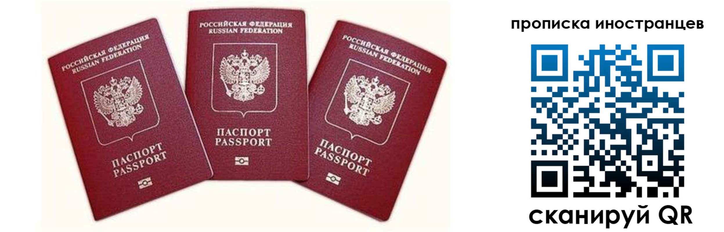 прописка в Николаевске